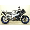 Terminale Race-Tech Approved carbonio (Dx+Sx) Aprilia TUONO 1000 R / R Factory 2006 2010