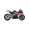 Terminale Race-Tech Approved alluminio con fondello carby Aprilia RSV 4 RR / RF 2017 2018