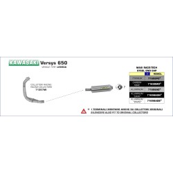 Terminale Maxi Race-Tech Approved carbonio Kawasaki Versys 650 2007 2014
