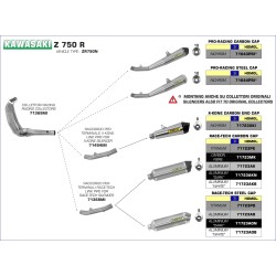 Terminale Race-Tech Approved titanio Kawasaki Z 750 R 2011 2014