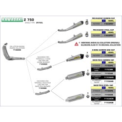 Raccordo per terminali Race-Tech Kawasaki Z 750 2007 2014