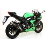 Terminale Race-Tech Approved alluminio Kawasaki ZX-6R 636 2013 2016