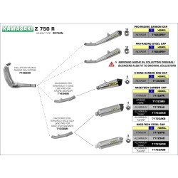 Terminale Race-Tech alluminio con fondello carby Kawasaki Z 750 R 2011 2014