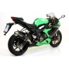 Terminale Race-Tech titanio con fondello carby Kawasaki ZX-6R 636 2013 2016