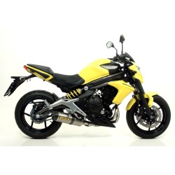 Terminale Race-Tech carbonio con fondello carby Kawasaki ER-6N 2012 2016