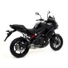 Terminale Race-Tech carbonio con fondello carby Kawasaki Versys 650 2015 2016