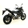 Terminale Pro-Racing con fondello in carbonio Kawasaki Z 800 2013 2016