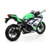 Kit terminale GP2 Kawasaki NINJA 300 2013 2016