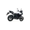 Terminale Race-Tech Alluminio Kawasaki Versys 650 2017 2020