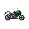 Terminale Race-Tech titanio con fondello carby Kawasaki Z 900 E 2017 2020