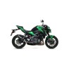 Terminale Race-Tech carbonio con fondello carby Kawasaki Z 900 2017 2019