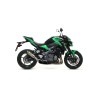 Terminale Race-Tech carbonio con fondello carby Kawasaki Z 900 2017 2019