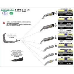 Terminale Race-Tech carbonio con fondello carby Kawasaki Z 900 E 2017 2020