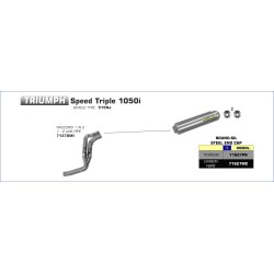 Terminali Round-Sil Carby omologati (Dx+Sx) Triumph SPEED TRIPLE 1050i 2007 2010