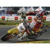 KIT PLASTICHE OFF-ROAD WRP per SUZUKI RMZ 250 (04/06)