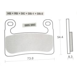 Pastiglie Freno Anteriori SBS DS-1 per BMW R 1250 GS 2019/2020