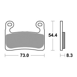 Pastiglie Freno Anteriori SBS DS-2 per BMW R 1250 R 2019/2020