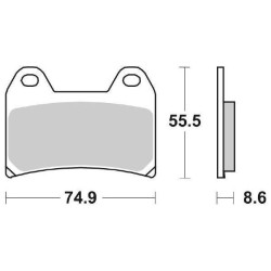 Pastiglie Freno Anteriori SBS DS-1 per TRIUMPH Street Triple 765 RS 2017/2020