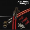 KIT TUBI IN TRECCIA ALLEGRI raccordo in ottone per YAMAHA R1 15/20