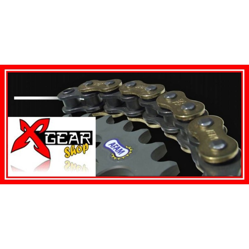 CATENA AFAM XSRG passo 520 per moto stradali fino 750cc