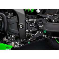 copy of PEDANE BONAMICI RACING KAWASAKI STRADA O CORSA tutti i modelli NINJA 300 08/16