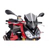 CUPOLINO NAKED N.G. SPORT PUIG BMW S1000 R 2014 FUME CHIARO